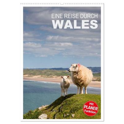 Eine Reise durch Wales (Wandkalender 2026 DIN A2 hoch), CALVENDO Monatskalender
