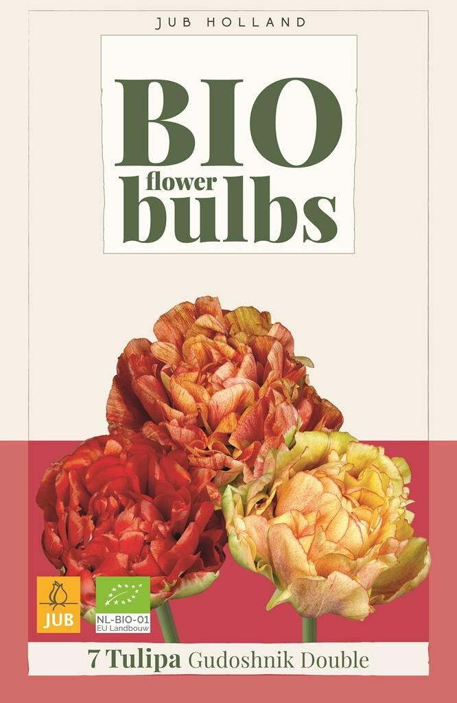 Bio tulp Gudoshnik Double - 7 bollen