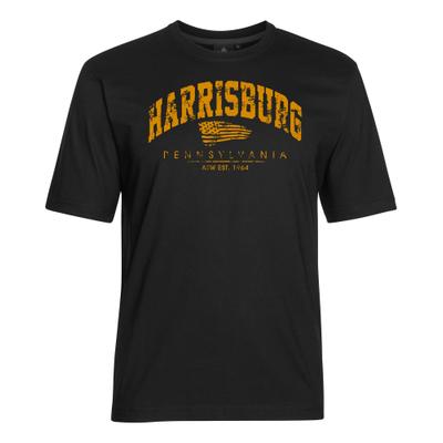 T-Shirt AHORN SPORTSWEAR "HARRISBURG", Herren, Gr. 4XL, schwarz, 100% Baumwolle, bedruckt, normal, Rundhals, Shirts T-Shirt, mit sportlichem Print