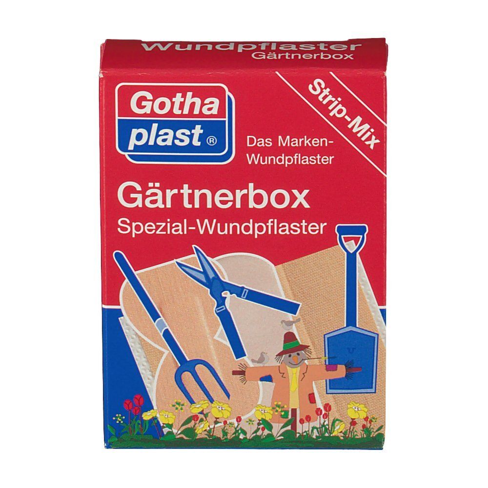 Gothaplast Gärtnerbox Pflaster 1 St