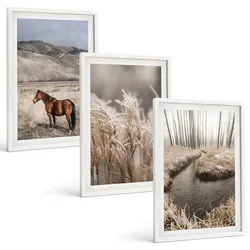 BILDER SET 3er Set - 40x60 cm Weißer Rahmen - Pferde, Landschaft, Gras, Bach