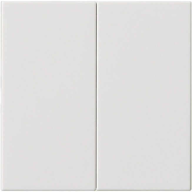 Gira Plaque de commande 2 fois rws 536203 (536203)