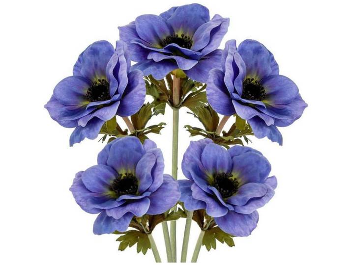 Kunstblumen 5er Set Anemonen Blau 53 cm, Kunststoff, 53 cm, Dekoration, Blumen & Blumentöpfe, Kunstblumen