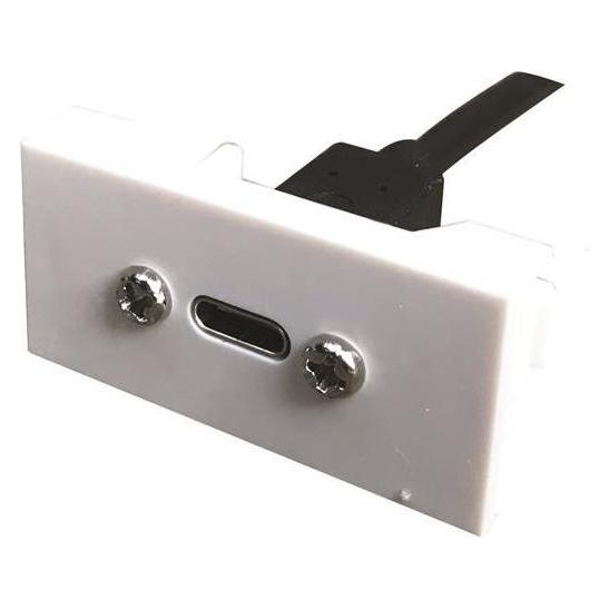 FULL F22 USB-C Module. F/F - (0.20 m) (FA-2420-USB-CF/CF-20CM)