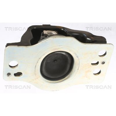 TRISCAN Lagerung, Motor 850525103 für RENAULT