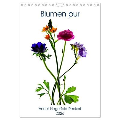 Blumen pur (Wandkalender 2026 DIN A4 hoch), CALVENDO Monatskalender