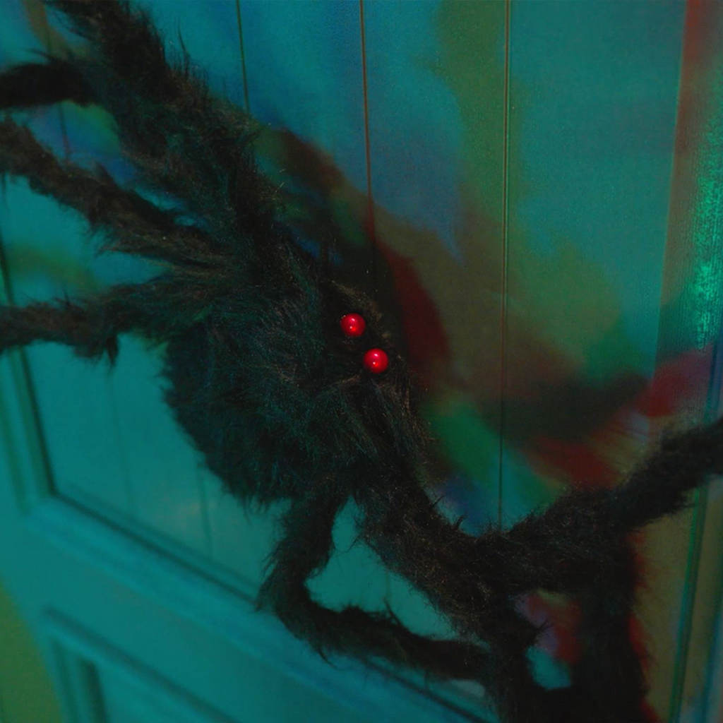 vidaXL Décoration Araignée Halloween 6 pc Noir 75 cm