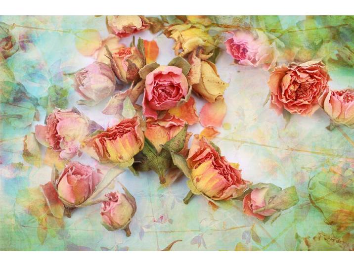 Papermoon Vintage Rosen