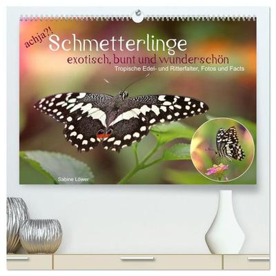 achja?! Schmetterlinge, exotisch, bunt und wunderschön (hochwertiger Premium Wandkalender 2027 DIN A2 quer), Kunstdruck in Hochglanz