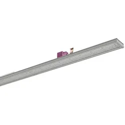 Ridi-Leuchten LED-Geräteträger, 7x VL2SGLS15 #2560367SI