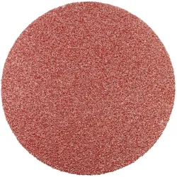 Pferd, Schleifmittel, PSA 50 A 80 42832308 Schleifblatt Körnung num 80 (Ø) 50 mm 100 St. (80)