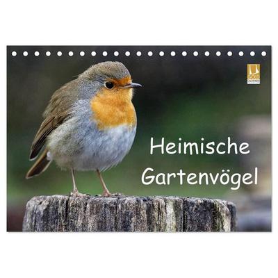 Heimische Gartenvögel (Tischkalender 2027 DIN A5 quer), CALVENDO Monatskalender