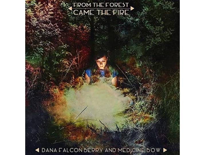 Dana Falconberry - From The Forest Came