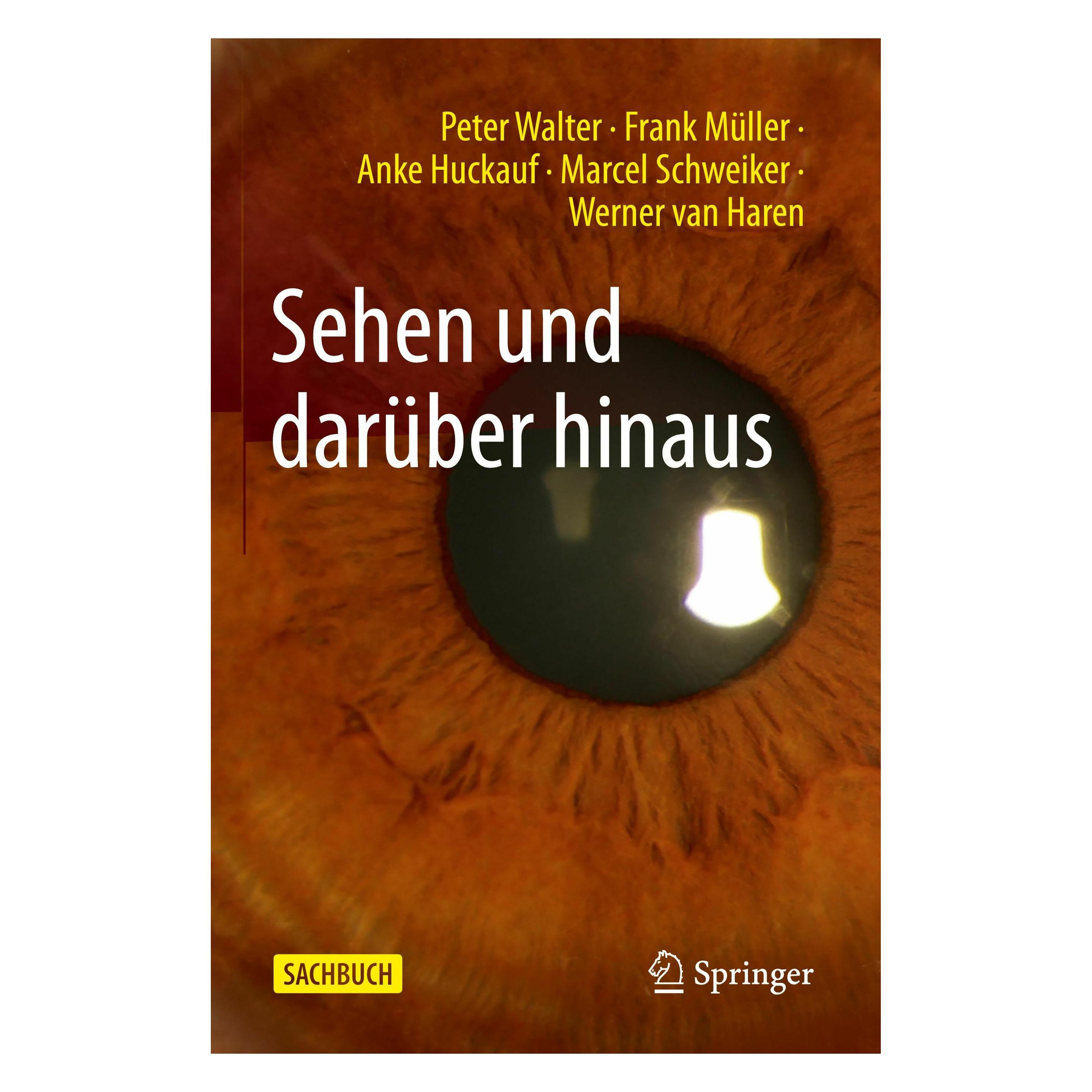 Springer Sehen und darüber hinaus (Deutsch, Softcover, Anke Huckauf, Frank Müller, Marcel Schweiker, Peter Walter, Werner van Haren) (47357090)