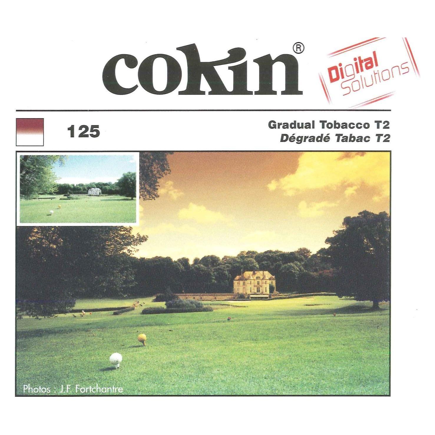 Cokin A125 Verlauffilter tabak 2 (67 mm, Farbfilter) (WA1T125)