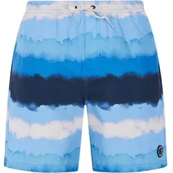 PROTEST Herren Badeshorts PRTHAMSEY, Größe L in Blau Blau