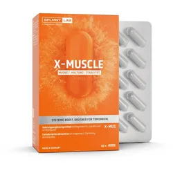 MUSCLE - Muskel & Knochen & Beweglichkeit 60 St
