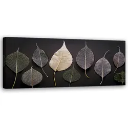 WANDBILD minimalismus hinterlässt glamourpflanzen
