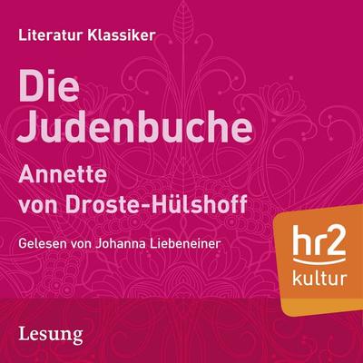 Die Judenbuche - Annette von Droste-Hülshoff, Audio, 9783956158001