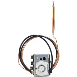 Jumo Thermostat 60003291