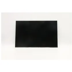 Lenovo DISPLAY AUO 16.0 WUXGA IPS AG, Notebook Ersatzteile