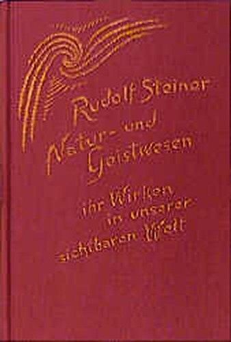 Rudolf Steiner - Natur- und Geistwesen - ihr Wirken in unserer sichtbaren Welt: Hörernotizen von Achtzehn Vorträgen in verschiedenen Städten 1907-1908 (Rudolf Steiner Gesamtausgabe) - Preis vom 30.09.2026 22:30:23 h