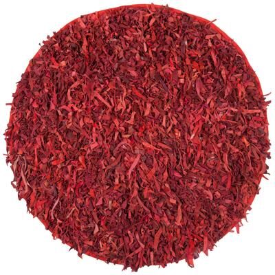 SAFAVIEH Handmade Leather Shag Carlijn Modern Decorative Rug