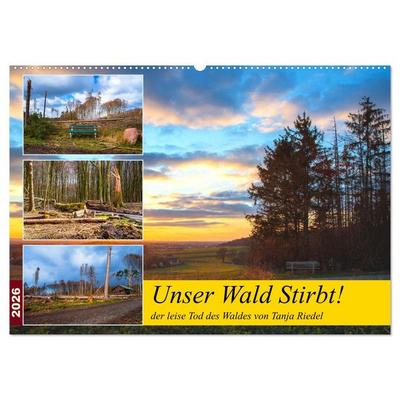Unser Wald Stirbt (Wandkalender 2026 DIN A2 quer), CALVENDO Monatskalender