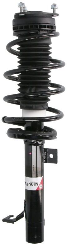Fahrwerkssatz, Federn/Dämpfer MAGNUM TECHNOLOGY SAG001MT
