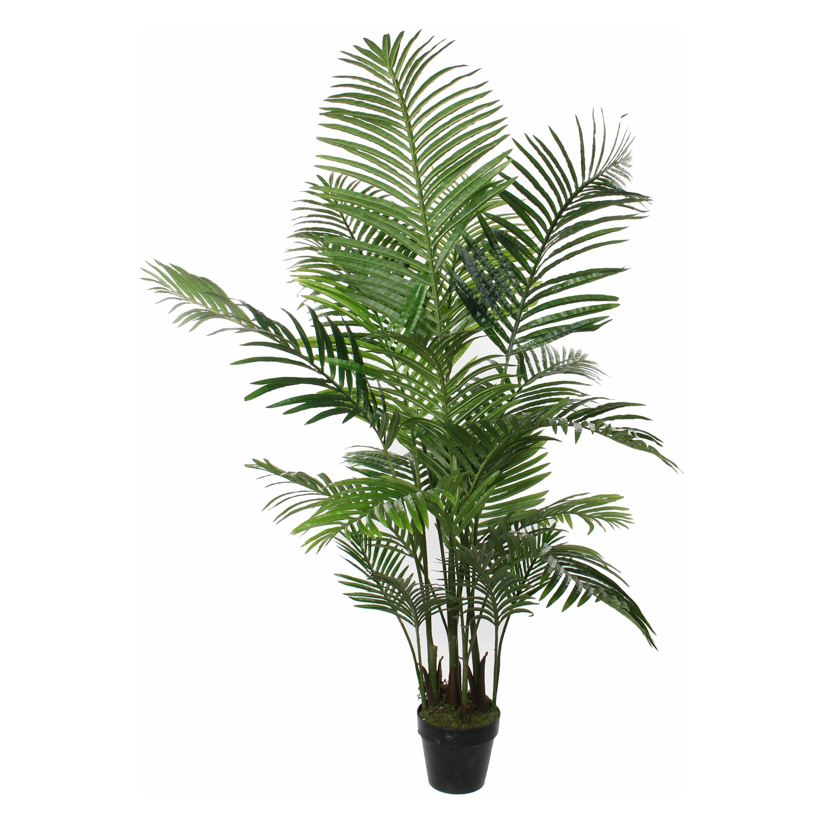 Mica Decorations Palme (160 cm) (1026427)