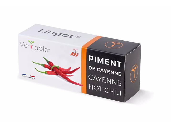 Véritable Cayenne Pfeffer Bio Lingot Chili hot Bio – Urban Gardening