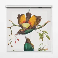 INNENROLLO - Fensterrollo - Rollo - 70x140 cm - Vögel auf einem Ast
