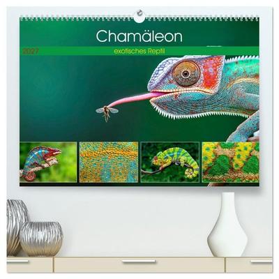Chamäleon - exotisches Reptil (hochwertiger Premium Wandkalender 2027 DIN A2 quer), Kunstdruck in Hochglanz