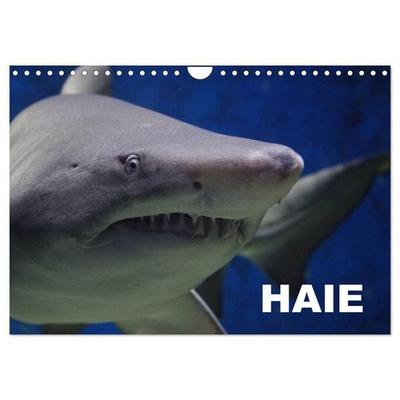 Haie (Wandkalender 2027 DIN A4 quer), CALVENDO Monatskalender