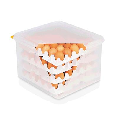 3x HACCP Eierbox Transportbox