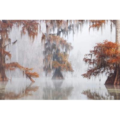 Fototapete PAPERMOON "Photo-Art ROBERTO MARCHEGIANI, MYSTY BAYOU", bunt, B:3,5m L:2,6m, Vlies, Tapeten