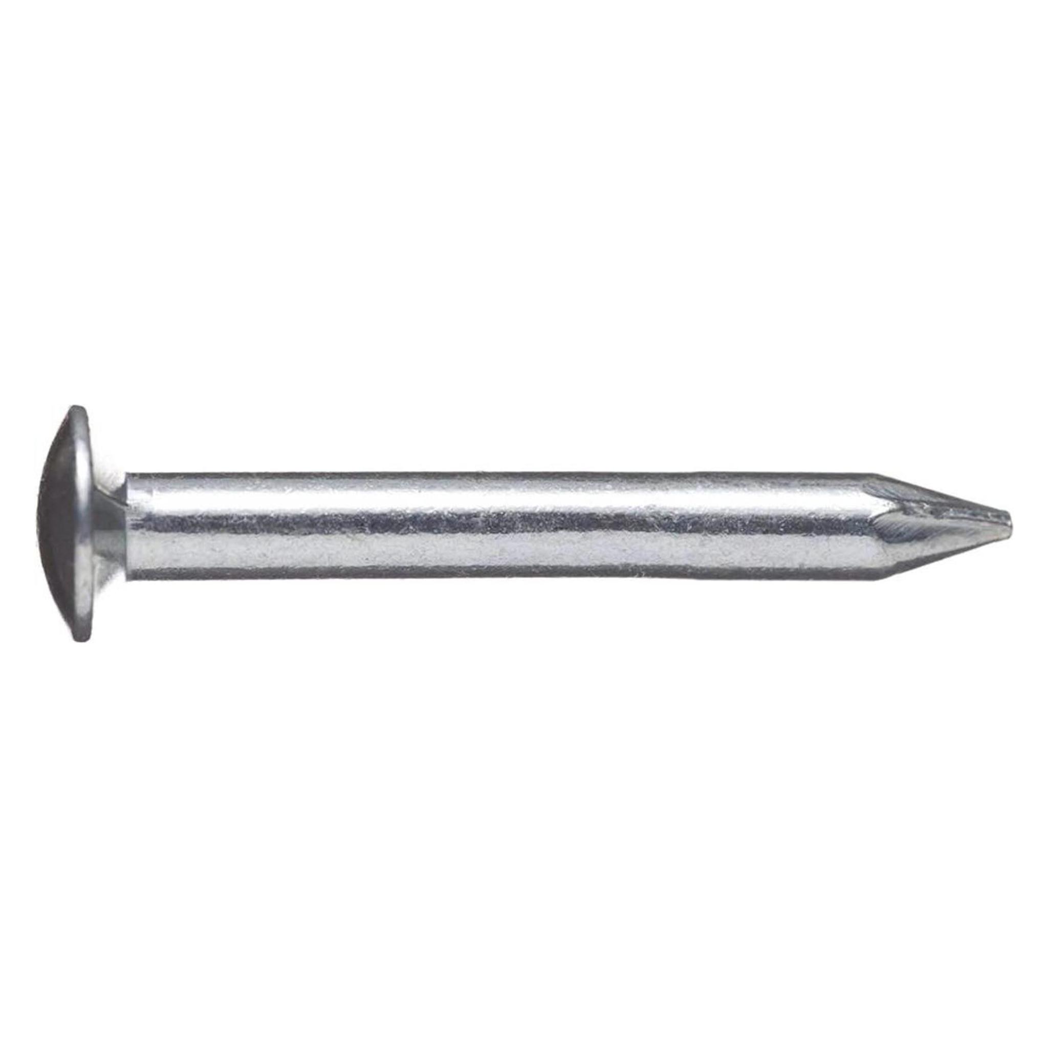 Bär Stahlnagel blank 2,0x 20 Linsenkopf (20 mm) (4015593004935)