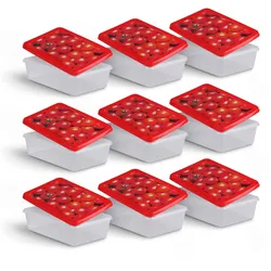 Pro Home Frischhaltedosen 1,25L - Tomate - 20x13cm ( 9er Pack )