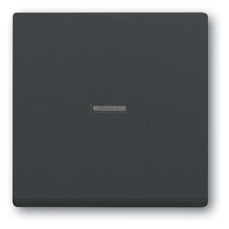 Busch-Jaeger Wippe mit kleiner transparenter Kalotte 2CKA001751A3147 (2CKA001751A3147)