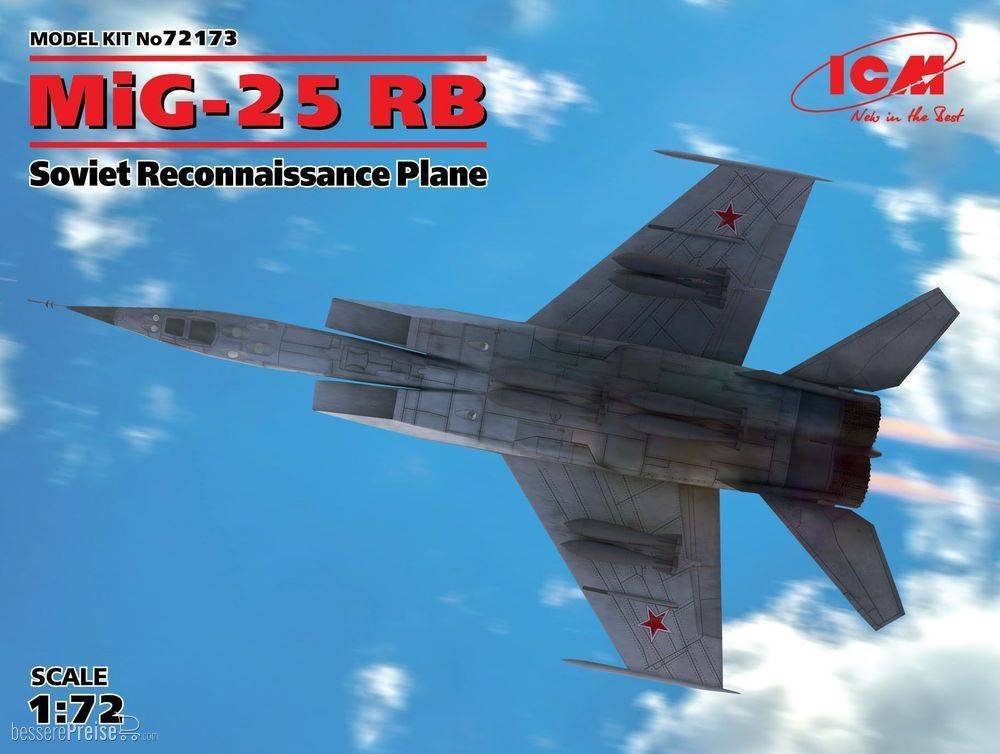 ICM 72173
