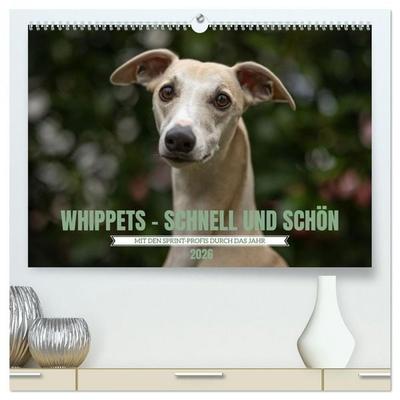WHIPPETS - SCHNELL UND SCHÖN (hochwertiger Premium Wandkalender 2026 DIN A2 quer), Kunstdruck in Hochglanz