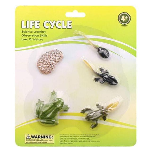 Lebenszyklus-Frosch-Spielzeugfiguren-Set (47314364)