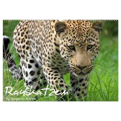 Raubkatzen (Wandkalender 2026 DIN A2 quer), CALVENDO Monatskalender