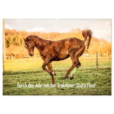 Durch das Jahr mit der Trakehner-Stute Fleur (Wandkalender 2027 DIN A2 quer), CALVENDO Monatskalender