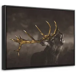 LEINWAND Bilder mit Rahmen - Rotwild - Schwarz - Gold - 40x30