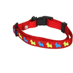 Martin Sellier Verstellbares Nylon-Hundehalsband (Hund), Halsband + Leine