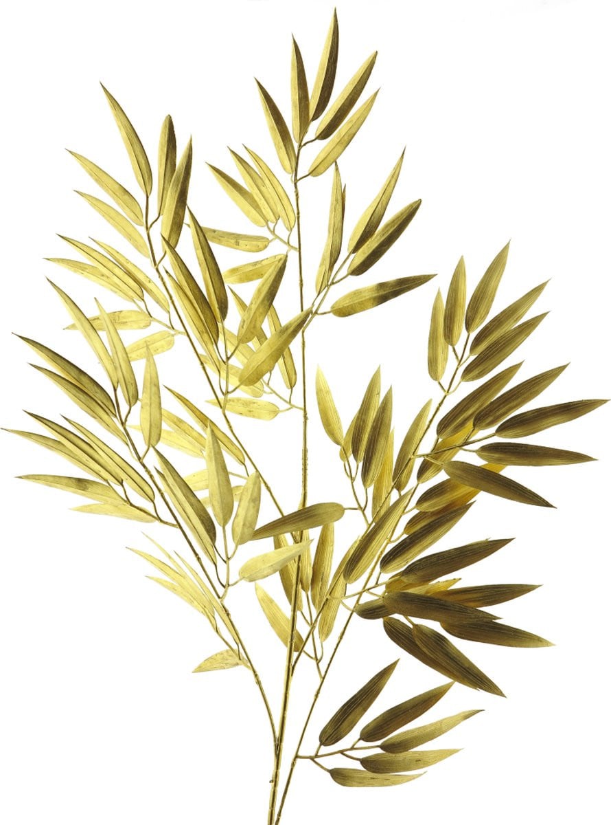 Erutan Avon Bamboo spray goud 98 cm