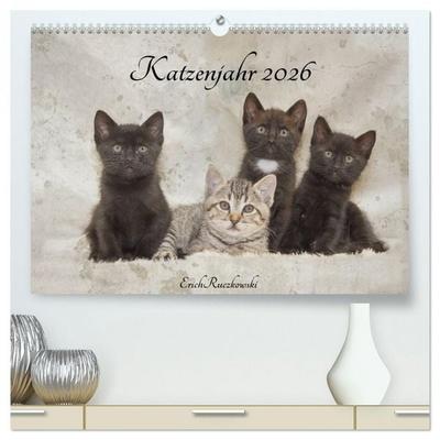 Katzenjahr 2026 (hochwertiger Premium Wandkalender 2026 DIN A2 quer), Kunstdruck in Hochglanz