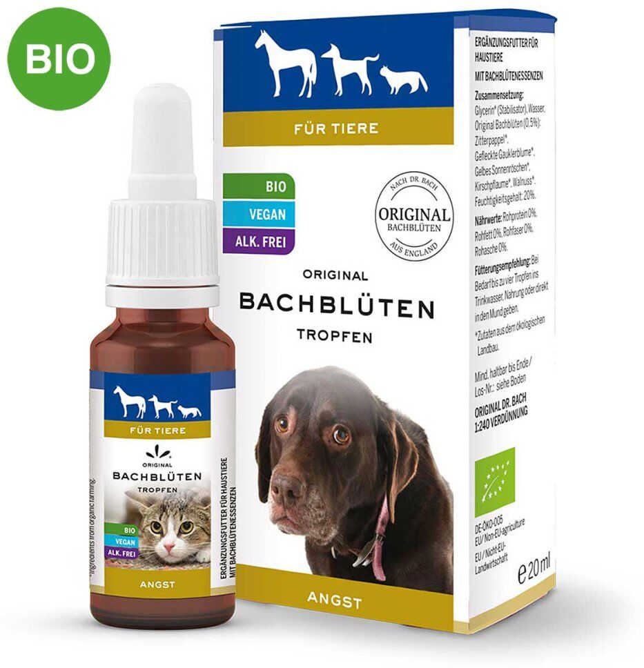 Bachblüten Tiere Tropfen Angst