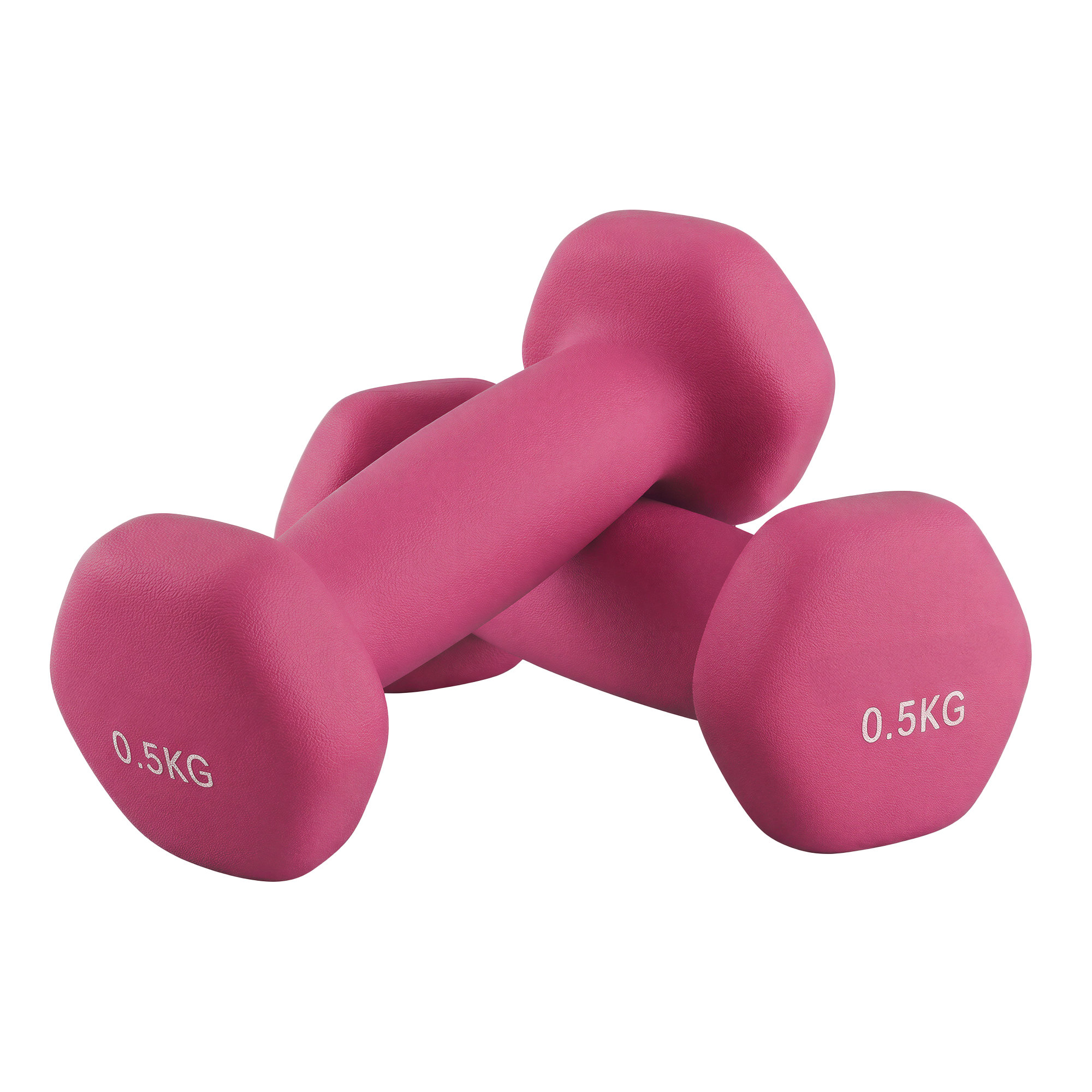 SONGMICS Kurzhanteln 2 x 0,5 kg SYLB3561PK